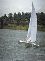 Roland's Naga - 2m Class Trimaran