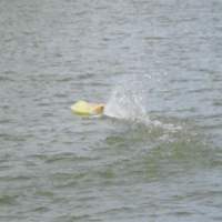 Barracuda - FSR 3.5 Racer