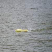 Barracuda - FSR 3.5 Racer