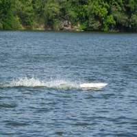 Eagle - Deep Vee Sport Boat