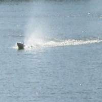 Eagle - Deep Vee Sport Boat