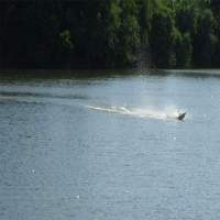 Eagle - Deep Vee Sport Boat