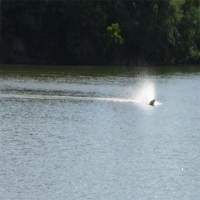 Eagle - Deep Vee Sport Boat