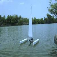Venom R - Mini40 Catamaran