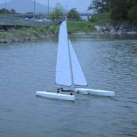 Venom R - Mini40 Catamaran