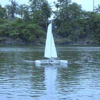 Venom R - Mini40 Catamaran